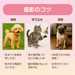再生成チケット
