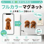 【フルカラーマグネット】上半身3㎝　2個セット - ちょこんとフィギュア