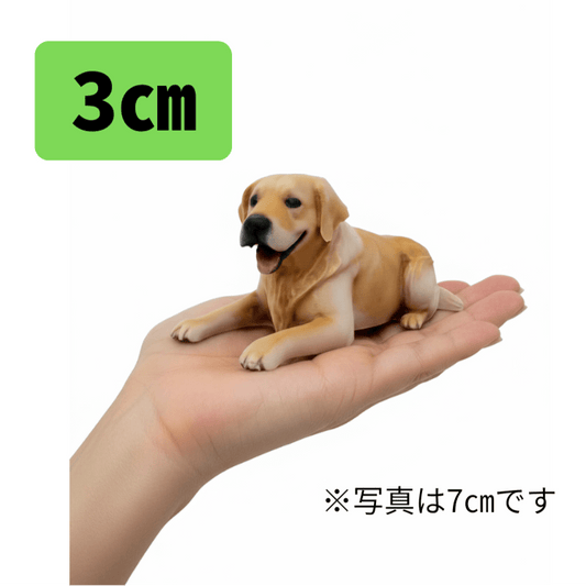 【まずはここから】3cmサイズ - ちょこんとフィギュア