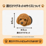 【フルカラーマグネット】顔だけ5㎝ - ちょこんとフィギュア