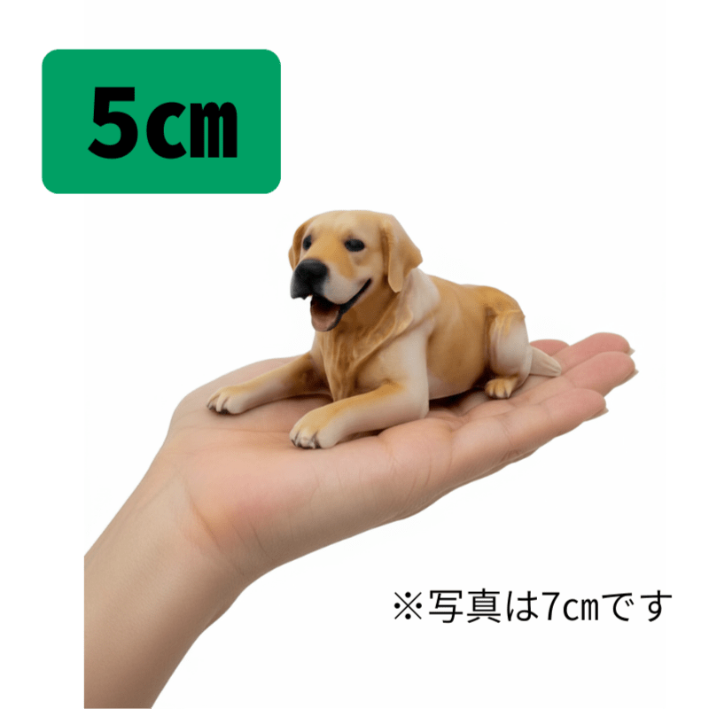 【手のひらピッタリ】5cmサイズ - ちょこんとフィギュア